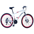 MTB Bicycle with Straight Top Frame Pipe